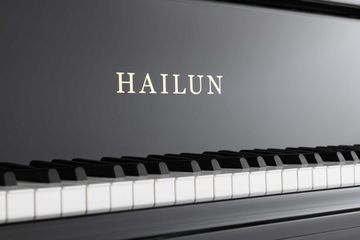 Hailun HG 151 brand name on fall board