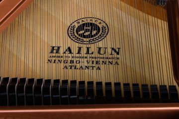 Hailun HG 161 Logo on soundboard