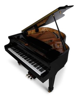 Hailun HG 161 Polished ebony from above