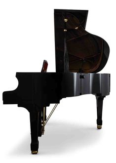 Hailun HG 161 Polished ebony 2