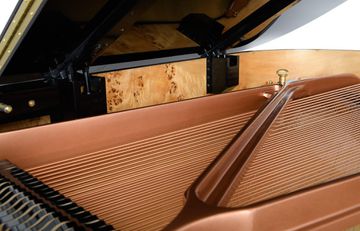 Hailun HG 178 Birdseye maple inlay inner rim 4