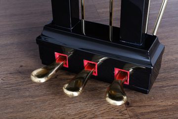 Hailun HG 178 Pedals