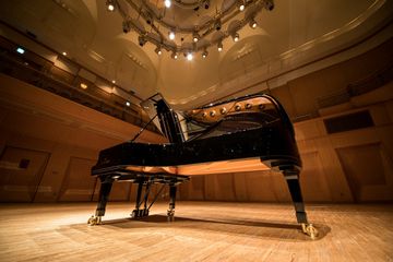 Shigeru Kawai EX-Concert Grand Piano